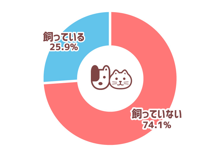 ペット