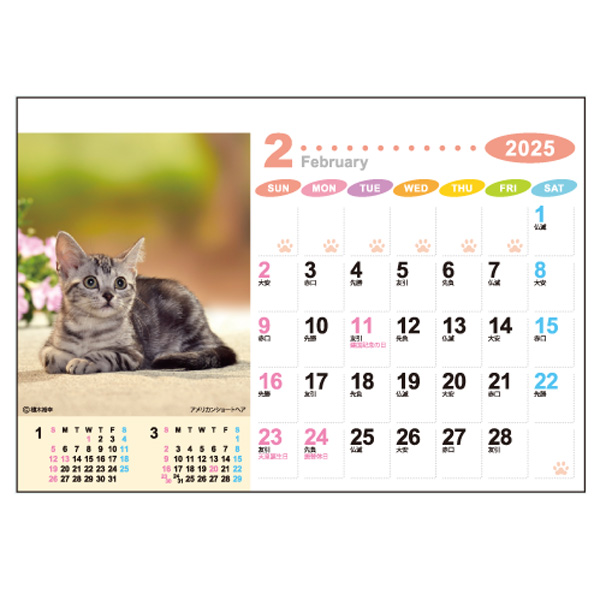 卓上カレンダー　ラブリーフレンズ（犬 猫）