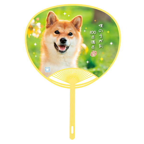 ペットうちわ 柴犬