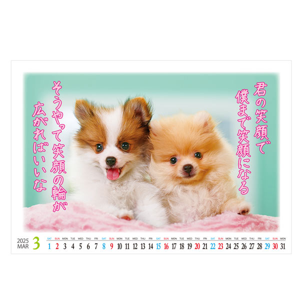 卓上　すまいる