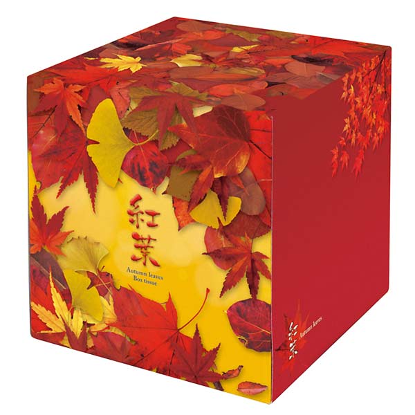 紅葉BOXティッシュ 70W