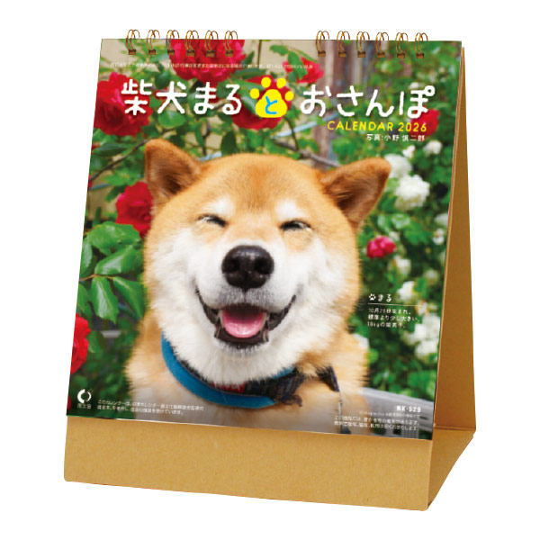 卓上カレンダー 柴犬まるとおさんぽ