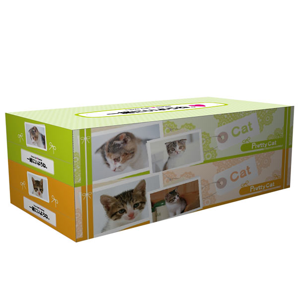 プリティキャット ティッシュ130W 2個パック