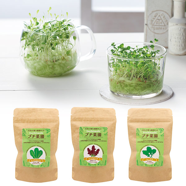 土なしプチ菜園栽培セット