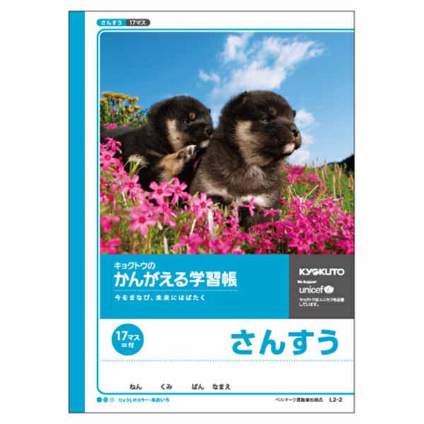 B5 かんがえる学習帳 さんすう（17マス）（=付）