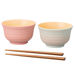 日本伝統色 刷毛目丼ペア箸付