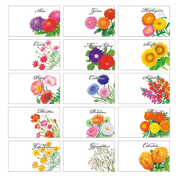 花の種子（横型） 販促用 500個セット（5種類 各100個） oBlkhfzO0Y