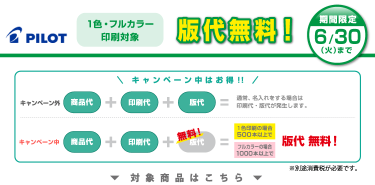 パイロット名入れキャンペーン